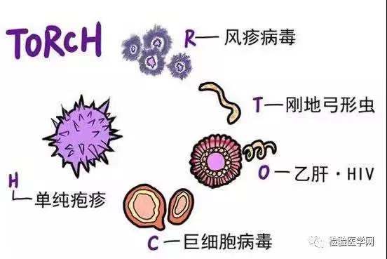 微信图片_20211015111316.jpg