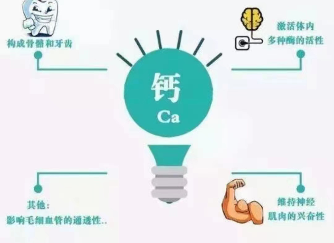 51c2f52787f7669e9046745610a698e.jpg