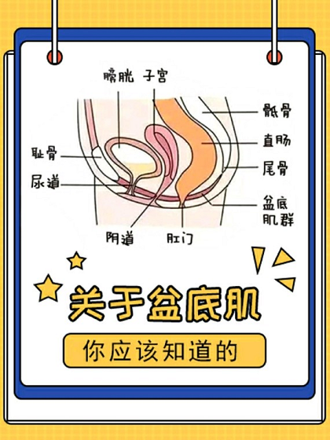 微信图片_20230411163053.png