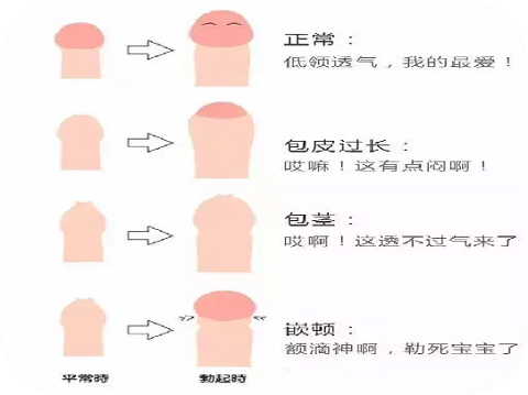 微信图片_20230608102555.png