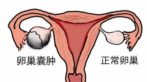 微信图片_20230619110659.png