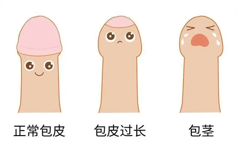 微信图片_20230704103705.png