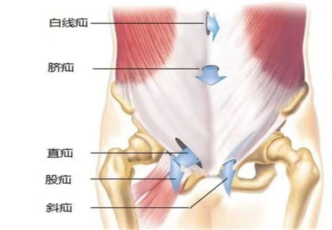微信图片_20230724164807.png