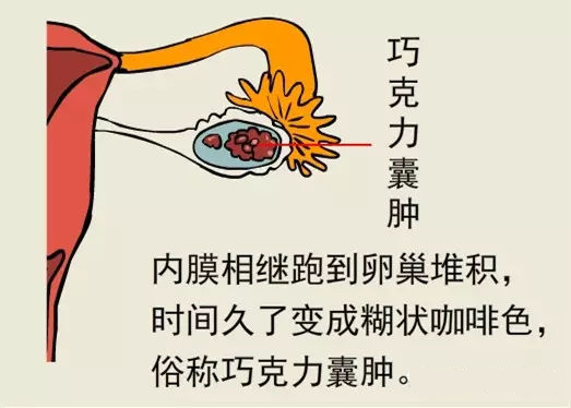 微信图片_20230802105011.png