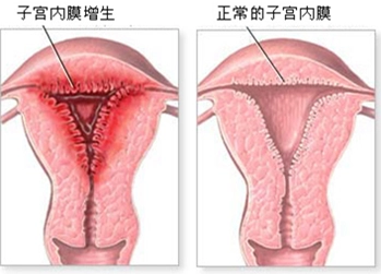 微信图片_20230807141901.png